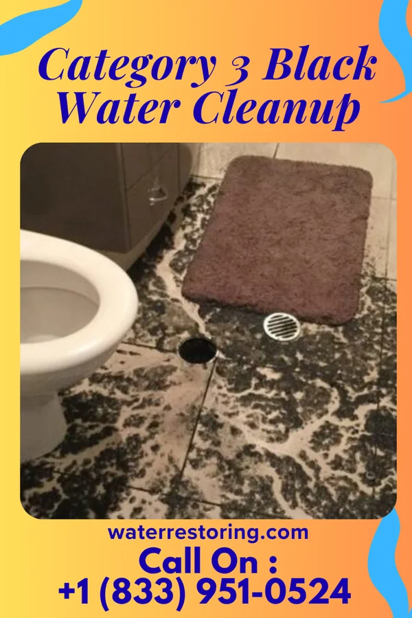 Category 3 Black Water Cleanup in Hokah, MN