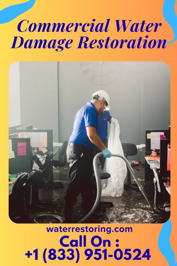 Commercial Water Damage Restoration in Hokah, MN