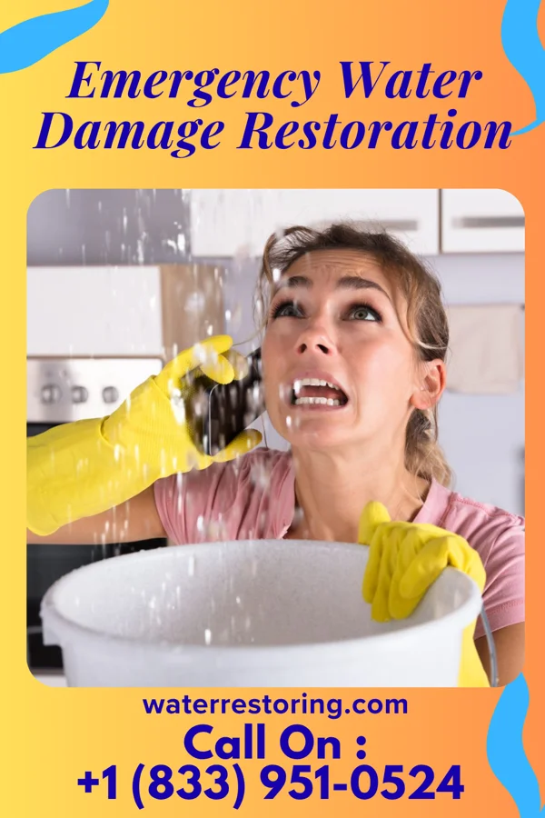 Emergency Water Damage Restoration in Hokah, MN