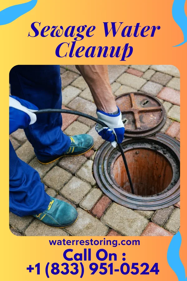 Sewage Water Cleanup in Hokah, MN